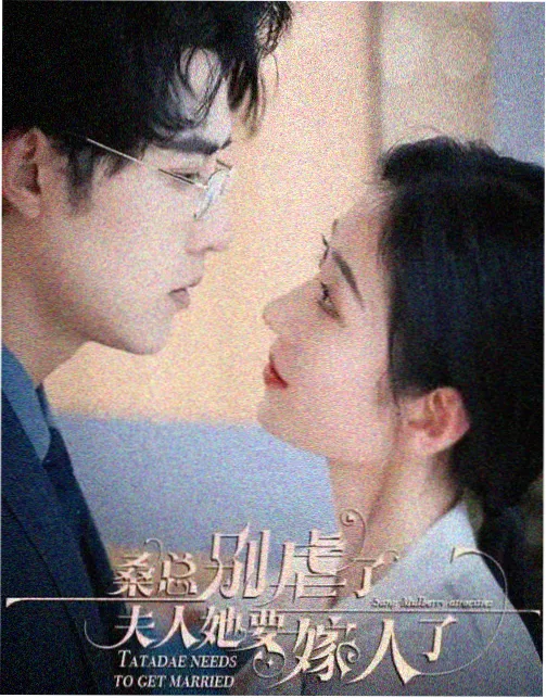 治愈系条目晚间释放双峰曲线资讯配图