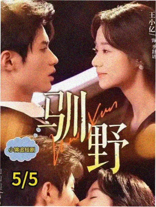 条目详情配图占位
